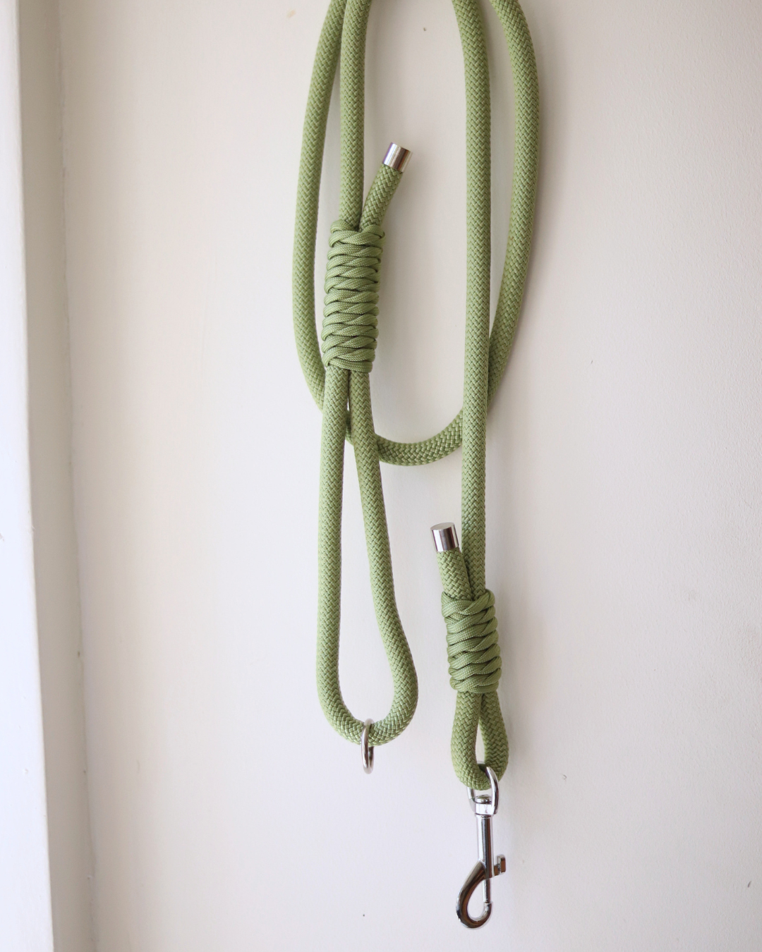 Pistachio Dog Lead