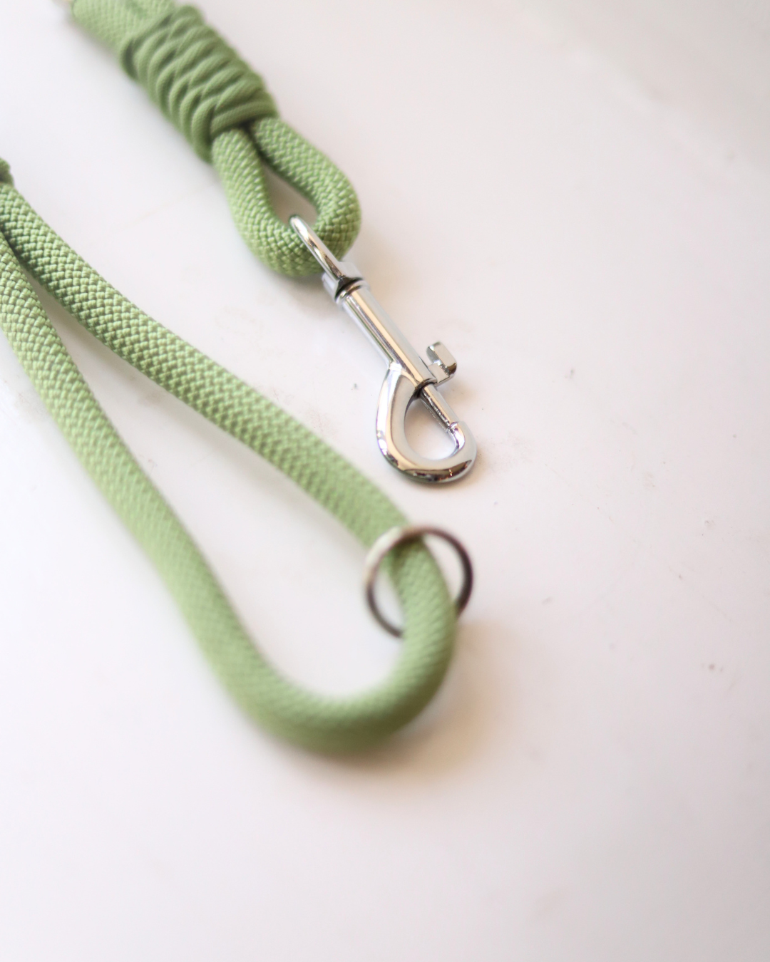 Pistachio Dog Lead