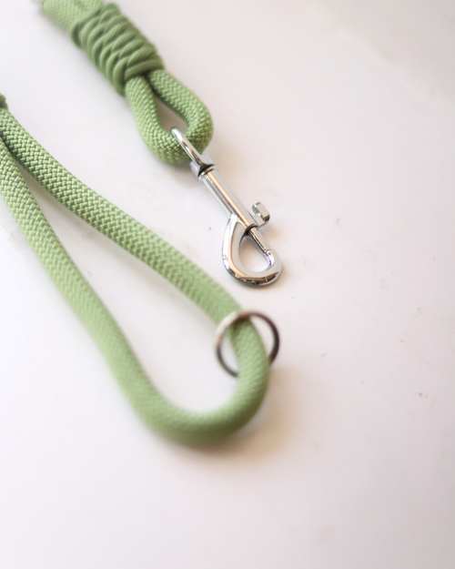 Pistachio Dog Lead