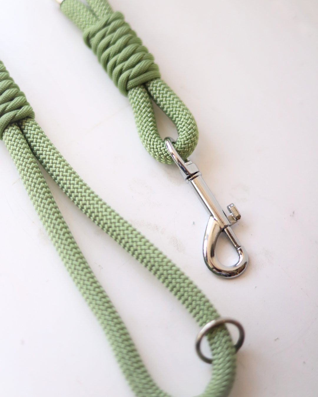 Pistachio Dog Lead