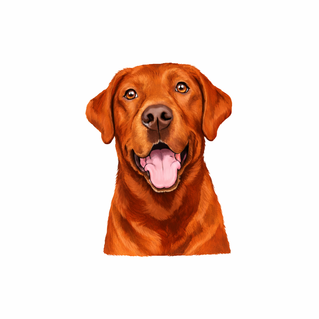 Red Fox Labrador Ceramic Hanging Decoration