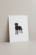 Black Labrador A4 Print - Smaller Dog
