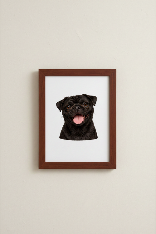 Black Pug A4 Print in dark wooden frame