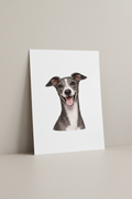 Italian Greyhound A4 Print leaning against wall