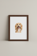 Saluki A4 Print in dark wooden frame