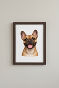 French Bulldog A4 Print in dark wooden frame