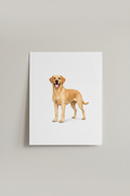 Golden Labrador A4 Print leaning against wall